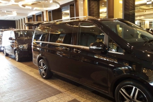 From Bodrum: Transfer from Bodrum Milas Airport to Kusadasi