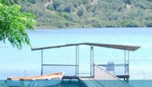 Villa Flamingo