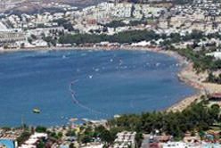 Regional Overview