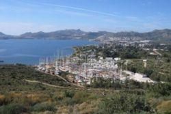 Regional Overview