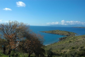 Bardakci by Hakan Akbas