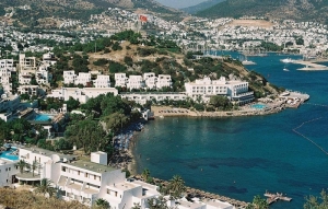 Bardakci by Nilgun Erzik