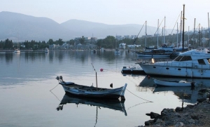 Bitez by GrahamBrown1965