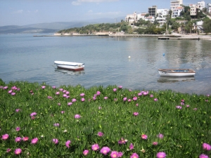 Gulluk by Sarahlb2010