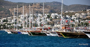 Gumbet by Starling 371