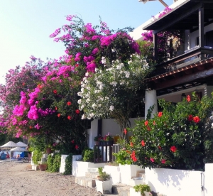 Gumusluk by Nese Avcil