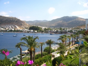 Gundogan by Bluemarine_kz