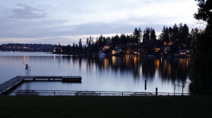 Gundogan by Gundogan