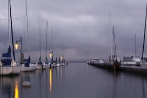 Gundogan by Gundogan