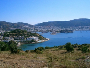 Gundogan by Lemlyjones