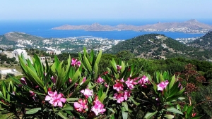 Yalikavak by F.Alkaya