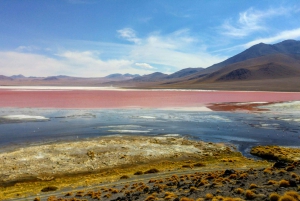 1D Laguna Colorada Yksityinen retki Uyunista käsin