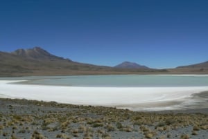 1D Laguna Colorada Privat omvisning fra Uyuni