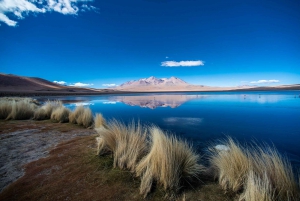 Prywatna wycieczka 1D Laguna Colorada z Uyuni