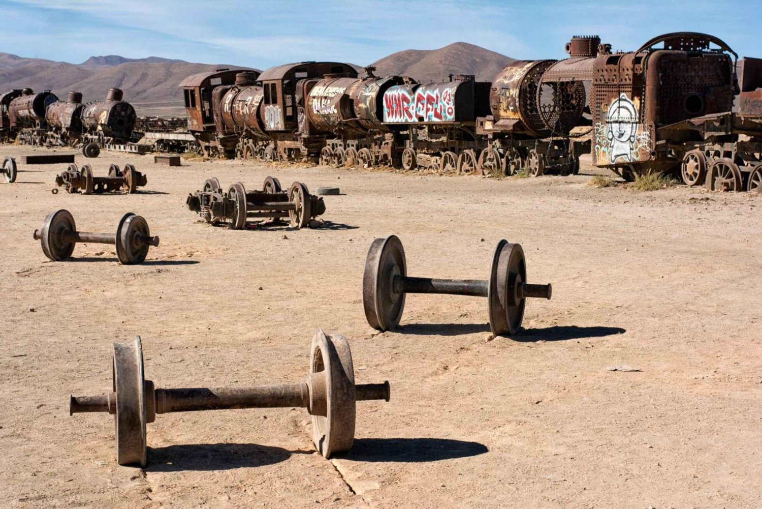 1D Private Tour zu den Salzwiesen von Uyuni und den alten Minen von Pulacayo