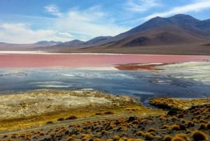 1D Private Tour to Laguna Colorada from Uyuni