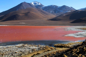 2-dagers utflukt til Salar de Uyuni