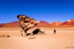 2-daagse privétour naar Salar de Uyuni en Laguna Colorada