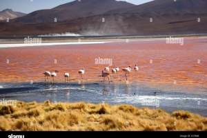 2-Day Private Tour to Salar de Uyuni and Laguna Colorada