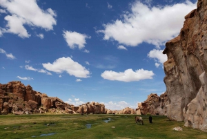 2-daagse privétour: zoutvlakten van Uyuni naar San Pedro de Atacama