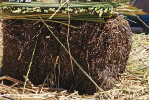 2-dagers tur fra Puno: Uros, Amantani og Taquile-øyene