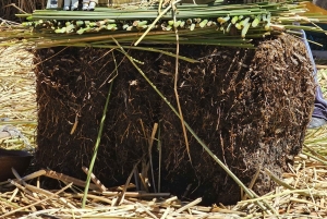 2-dagers tur fra Puno: Uros, Amantani og Taquile-øyene