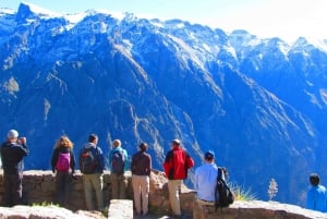 2 Days Colca Canyon Sightseeing Tour ending in Puno Hotel***