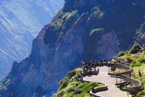 2 Days Colca Canyon Sightseeing Tour ending in Puno Hotel***