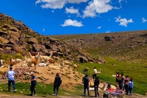 2 Days Colca Canyon Sightseeing Tour ending in Puno Hotel***