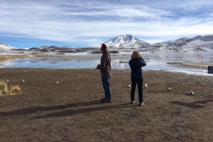 Excursão particular de 2 dias do Chile ao Salar de Uyuni