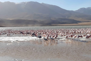 2 jours d'excursion privée dans les plaines salées au départ d'Uyuni en pluies