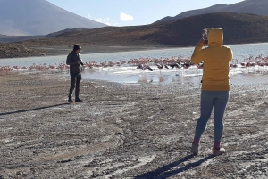 2-Tage Salzwiesen Privatrundreise ab Uyuni im Regen