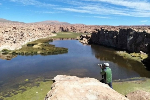 2-Days Salt Flats round-trip from Uyuni