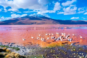 3-dagars utflykt till Salar de Uyuni från staden La Paz