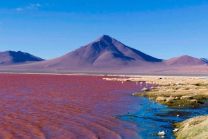 Excursão de 3 dias ao Salar de Uyuni saindo da cidade de La Paz