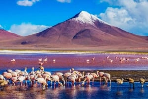 3-daagse tocht naar de zoutvlakte van Uyuni en San Pedro de Atacama