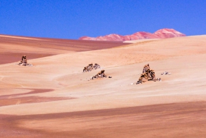 3-daagse tocht naar zoutmeren en lagunes