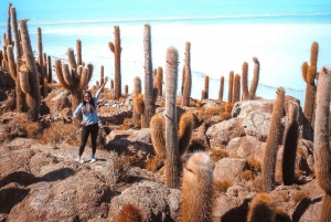 3 dagar Salar de Uyuni med lyxcamp i Bolivia