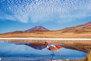 3D/2N OHJELMA SAN PEDRO DE ATACAMA-UYUNI PUOLIKSI YKSITYINEN PALVELU