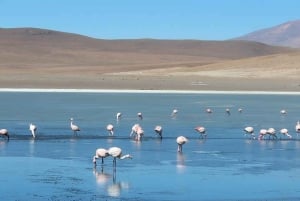 PROGRAMME 3J/2N SAN PEDRO DE ATACAMA - UYUNI SERVICE PARTAGÉ