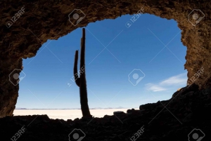 3D-äventyr till Salt Flats och öknen, från Uyuni