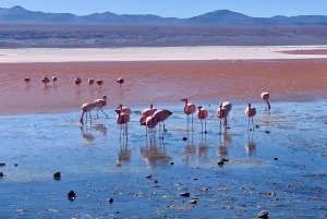 3D PROGRAM 2N UYUNI - SAN PEDRO DE ATACAMA USŁUGA WSPÓLNA