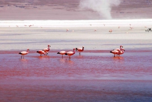 PROGRAMMA 4D 3N SAN PEDRO DE ATACAMA-UYUNI-ATACAMA-PRIVATO VIP