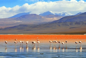 4D 3N PROGRAM SAN PEDRO DE ATACAMA - UYUNI - SEMI PRIVAT