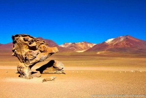 4D/3N SAN PEDRO DE ATACAMA- UYUNI- SAN PEDRO DE ATACAMA/ VIP