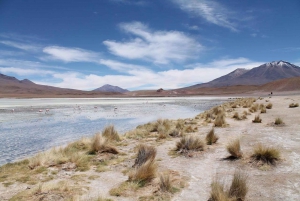 4D/3N SÃO PEDRO DE ATACAMA - UYUNI - SÃO PEDRO DE ATACAMA/ VIP