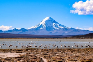 5-Day La Paz to Uyuni via Sajama - Small Group Overland Tour