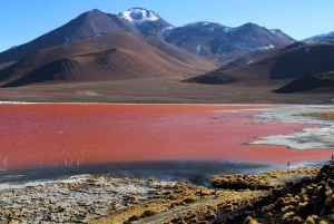 5-tägige Tour durch Uyuni und die Rote Lagune mit Busfahrt