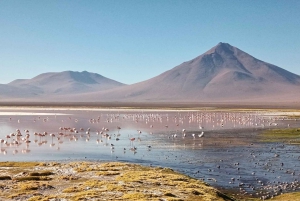 Excursión de 5 días a Uyuni y la Laguna Roja