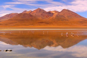 5-day tour of Uyuni and Red Lagoon